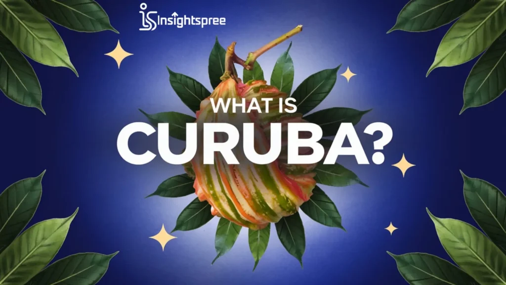 What is Curuba?