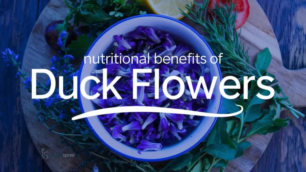 Nutritional Benefits of Duck  flower